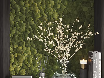 Decorative Ornaments Set with Green Moss Wall White Floral Branches Vase Diffuser Candle and Books 3d model