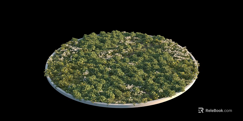 Dense Lush Green Shrubs On Circular Platform With White Small Flowers 3d model 