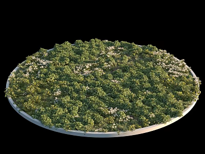 Dense Lush Green Shrubs On Circular Platform With White Small Flowers 3d model