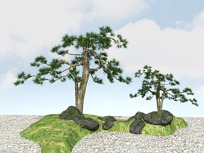 Tall Pine Trees Growing On Green Grass With Rocks And Gravel Under Blue Sky 3d model