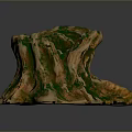 Arbor Tree Stump with Green Moss Covered Natural Texture and Detailed Surface 3d model