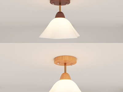 Middle style aisle ceiling lamp 3d model