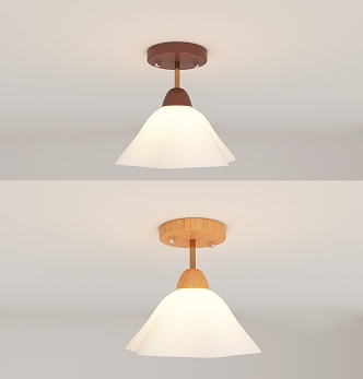 Middle style aisle ceiling lamp 3d model