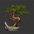Artistic Bonsai Pine Tree With Curved Trunk Green Foliage And Rock Base