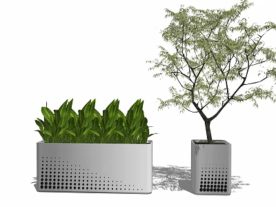 Bonsai Potted Plants In Square Perforated Planters With Green Foliage And Small Tree 3d model