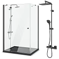 Modern Glass Shower Sauna Enclosure With Black Frame Shower Head And Base