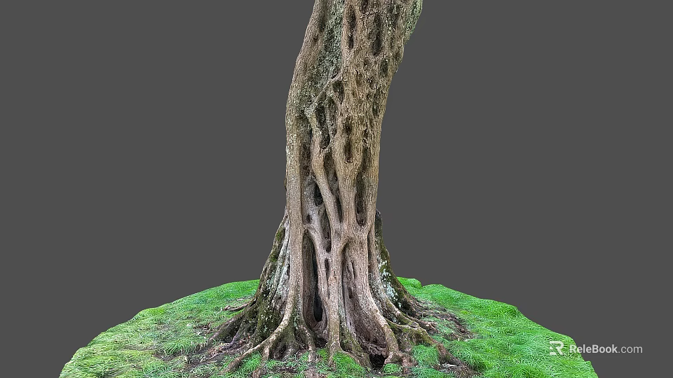 Tall Tree Trunk With Intricate Textured Roots And Lush Green Grass On Gray Background 3d model 
