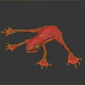 Frog Poison Frog Game Frog Reptile Cold Blooded Animal Reptile 3d model