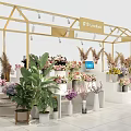 Elegant Florist Shop with Golden Frame Various Flowers and Plant Displays
