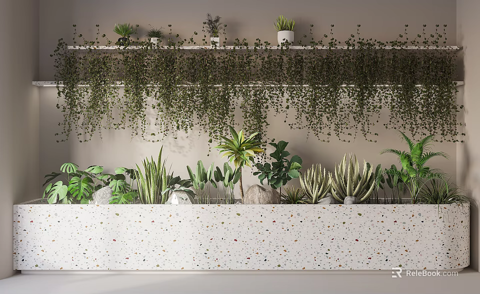 Diverse Indoor Plants on Wall Shelf with Hanging Vines and Various Potted Succulents Ferns Palms 3d model 