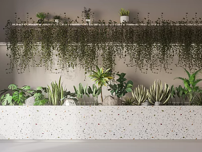 Diverse Indoor Plants on Wall Shelf with Hanging Vines and Various Potted Succulents Ferns Palms 3d model