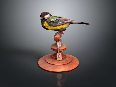Vibrant Small Bird With Yellow Black And Green Feathers Perched On Brown Wooden Stand 3d model