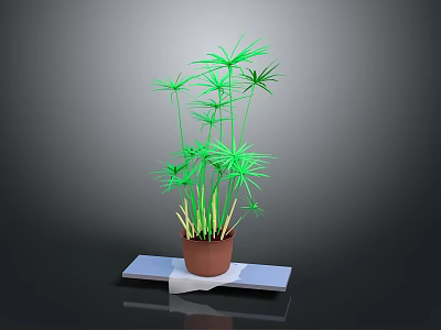 Green Leafy Potted Plant In Brown Pot On White Platform With Gray Background 3d model