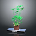 Green Leafy Potted Plant In Brown Pot On White Platform With Gray Background