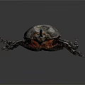 Black Beetle With Shiny Exoskeleton And Six Legs On Dark Background