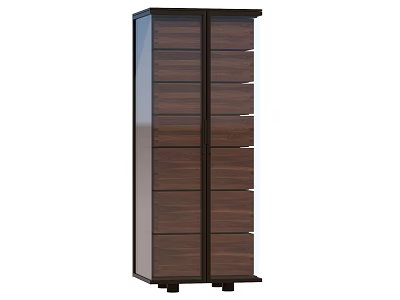 Tall Wooden Decorative Cabinet With Modern Design Multiple Drawers And Doors 3d model