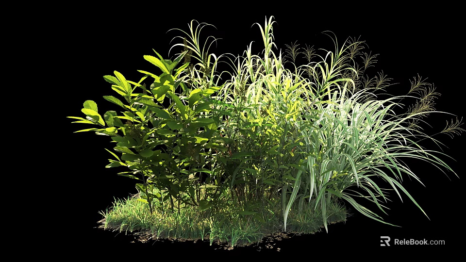 Lush Green Shrubs With Diverse Foliage Types Clustered Growth And Grass Ground Cover 3d model 
