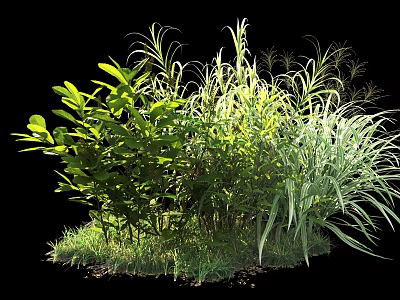 Lush Green Shrubs With Diverse Foliage Types Clustered Growth And Grass Ground Cover 3d model