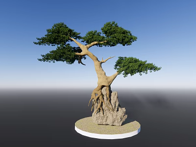 Bonsai Arbor With Exposed Roots And Lush Green Foliage On Stone Base 3d model
