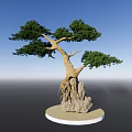 Bonsai Arbor With Exposed Roots And Lush Green Foliage On Stone Base