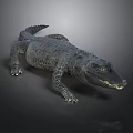 Realistic 3D Rendered Crocodile With Scaly Skin Lying On Dark Surface