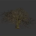 Two Leafless Trees With Visible Trunks And Branches Against White Background