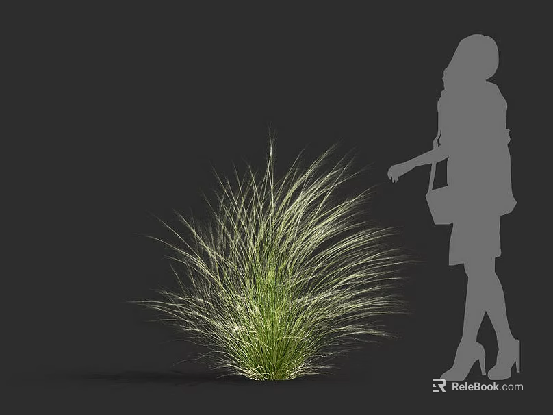 Elegant Ornamental Grass with Woman Silhouette in Dress and High Heels Standing Near 3d model 