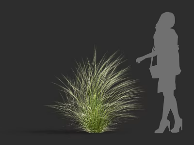 Elegant Ornamental Grass with Woman Silhouette in Dress and High Heels Standing Near 3d model