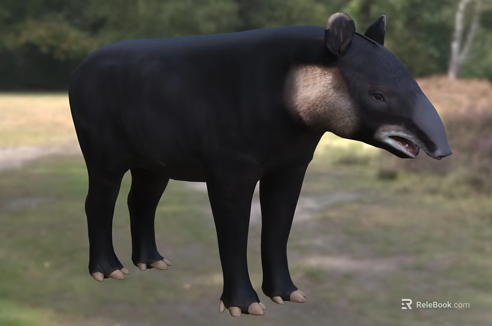 Black Reptile With Long Snout Standing In Grassland Near Forest Trees 3d model 