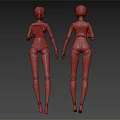 Two Humanoid Robots Front Back View With White Black Mechanical Design And Red Eye Interface 3d model
