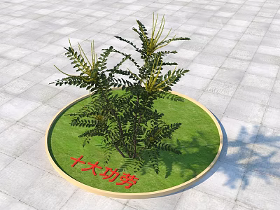 Fresh Green Garden Plants Growing In Circular Grass Patch On Square Tiled Floor 3d model