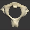White Abstract Sculpture With Curved Shapes And Hole On Black Reflective Background