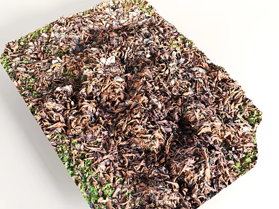 Natural Moss Covered Textured Surface With Green And Brown Vegetation Details 3d model