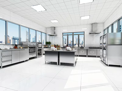 Modern Commercial Kitchen Design Featuring Stainless Steel Workstations Open Layout And Large Windows 3d model