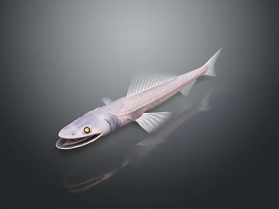 Silver White Decorative Fish Ornament With Sharp Teeth Yellow Eyes And Fins 3d model
