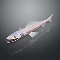 Silver White Decorative Fish Ornament With Sharp Teeth Yellow Eyes And Fins