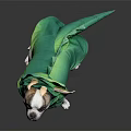 Cute Dog Sitting In Green Dinosaur Costume With Horns And Tail