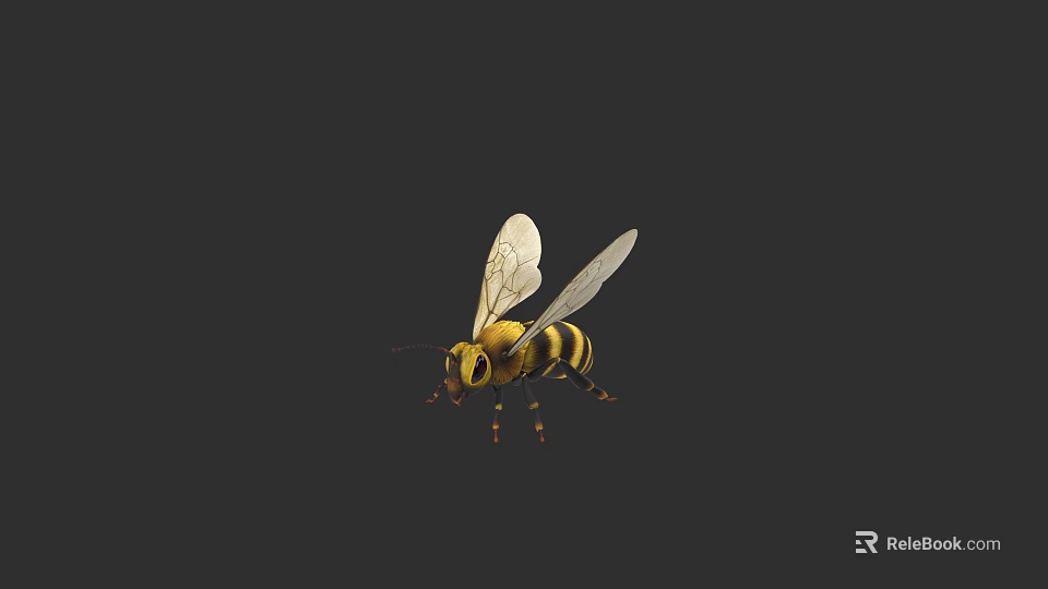 Flying Animal Bee With Yellow And Black Stripes Transparent Wings 3d model 