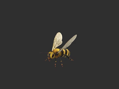 Flying Animal Bee With Yellow And Black Stripes Transparent Wings 3d model
