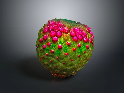 Vibrant Tropical Fruit With Green Textured Skin And Pink Protrusions On Dark Background 3d model