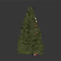 Christmas Decoration Collection Featuring Candy Cane Ornament Decorated Tree And Full Pine
