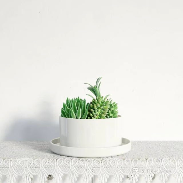 White Ceramic Succulent Potted Plant With Tray On Light Countertop And White Wall Background 3d model 