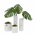 Elegant Garden Decor With Cylindrical Marble Vases Monstera Leaves And Moss