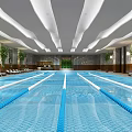 Indoor Swimming Pool With Modern Ceiling Lounge Chairs And Green Plants Lane Lines