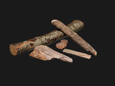 Modern Wood 3d model