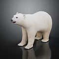 Lifelike White Polar Bear Standing On Dark Background With Reflection