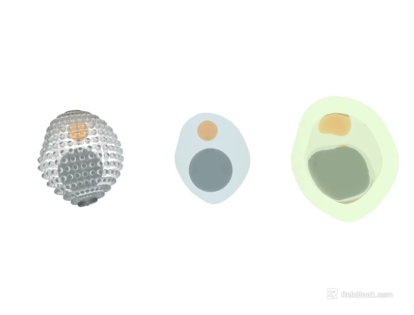 Three Differently Designed Medical Devices Featuring Mesh Circular And Layered Structural Components 3d model 