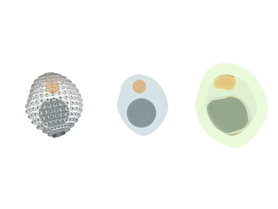 Three Differently Designed Medical Devices Featuring Mesh Circular And Layered Structural Components 3d model