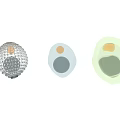Three Differently Designed Medical Devices Featuring Mesh Circular And Layered Structural Components