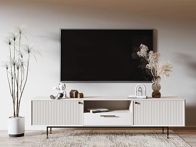 Modern White TV Stand with Drawers Cabinets Large TV Green Plant Dried Flowers and Rug 3d model